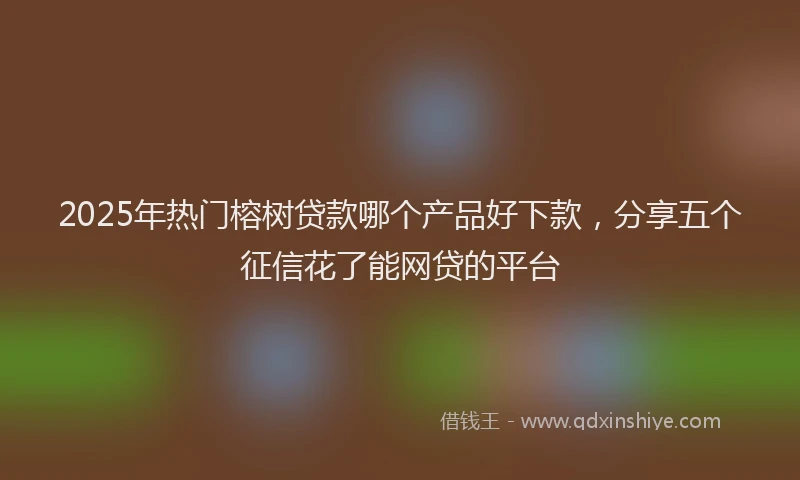 2025年热门榕树贷款哪个产品好下款，分享五个征信花了能网贷的平台