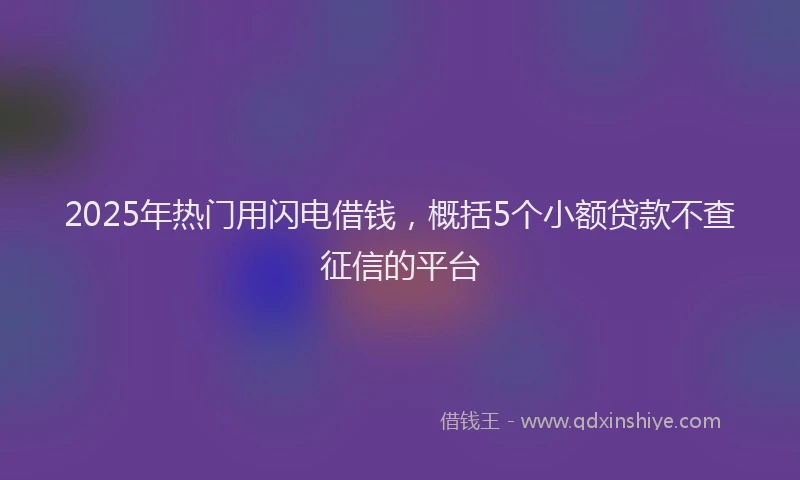 2025年热门用闪电借钱，概括5个小额贷款不查征信的平台