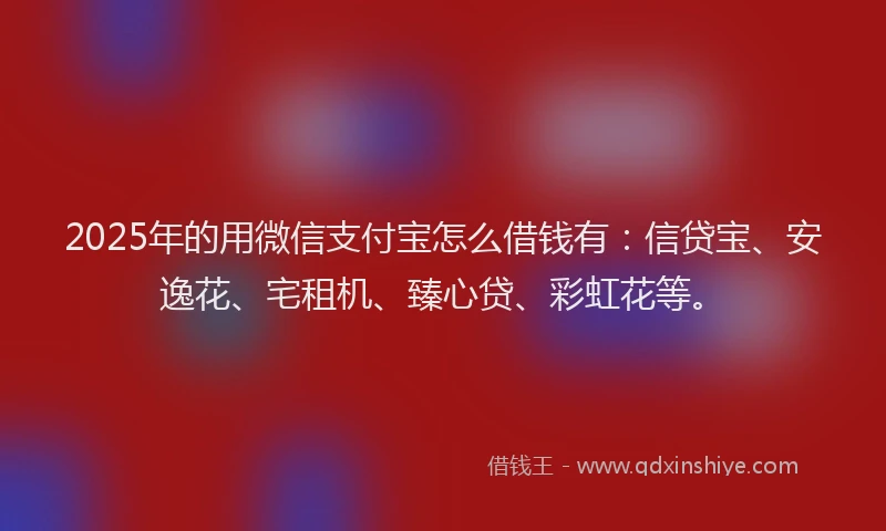 2025年的用微信支付宝怎么借钱有：信贷宝、安逸花、宅租机、臻心贷、彩虹花等。