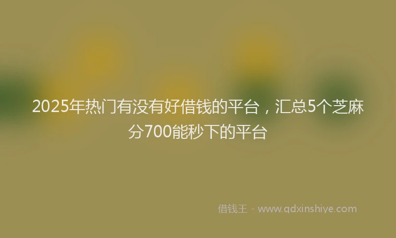 2025年热门有没有好借钱的平台，汇总5个芝麻分700能秒下的平台