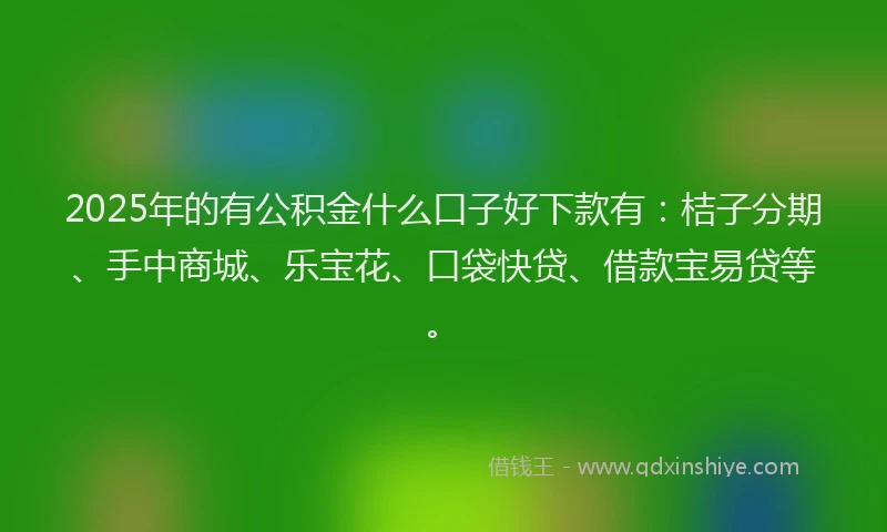 2025年的有公积金什么口子好下款有：桔子分期、手中商城、乐宝花、口袋快贷、借款宝易贷等。