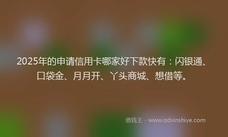 2025年的申请信用卡哪家好下款快有：闪银通、口袋金、月月开、丫头商城、想借等。