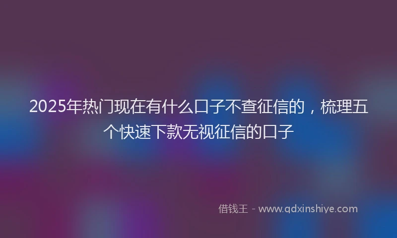2025年热门现在有什么口子不查征信的，梳理五个快速下款无视征信的口子
