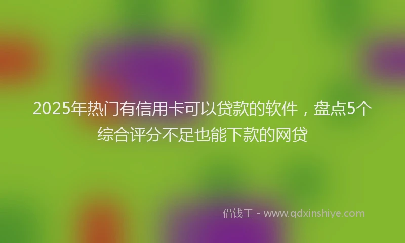 2025年热门有信用卡可以贷款的软件，盘点5个综合评分不足也能下款的网贷