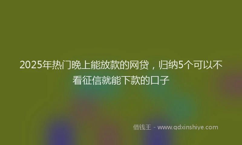2025年热门晚上能放款的网贷，归纳5个可以不看征信就能下款的口子