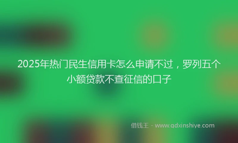 2025年热门民生信用卡怎么申请不过，罗列五个小额贷款不查征信的口子