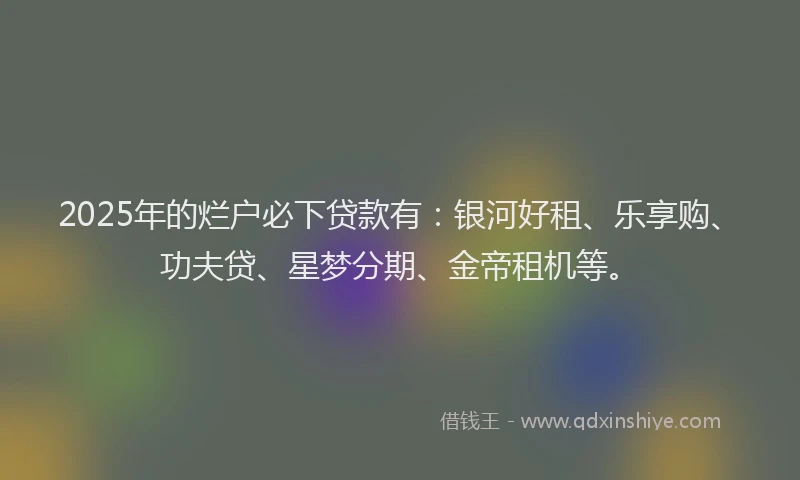 2025年的烂户必下贷款有：银河好租、乐享购、功夫贷、星梦分期、金帝租机等。