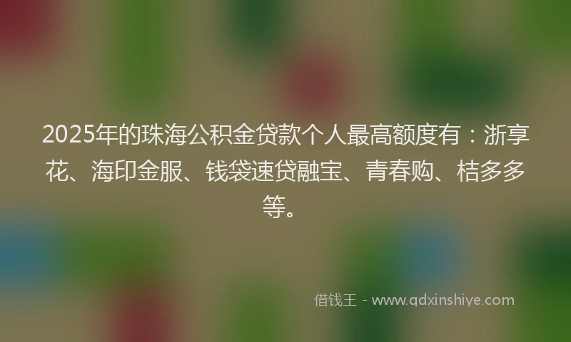 2025年的珠海公积金贷款个人最高额度有：浙享花、海印金服、钱袋速贷融宝、青春购、桔多多等。