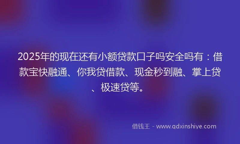2025年的现在还有小额贷款口子吗安全吗有：借款宝快融通、你我贷借款、现金秒到融、掌上贷、极速贷等。