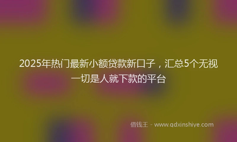 2025年热门最新小额贷款新口子，汇总5个无视一切是人就下款的平台
