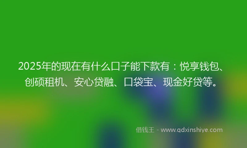 2025年的现在有什么口子能下款有：悦享钱包、创硕租机、安心贷融、口袋宝、现金好贷等。