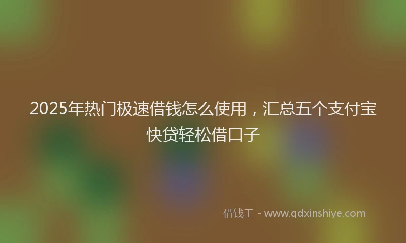 2025年热门极速借钱怎么使用，汇总五个支付宝快贷轻松借口子