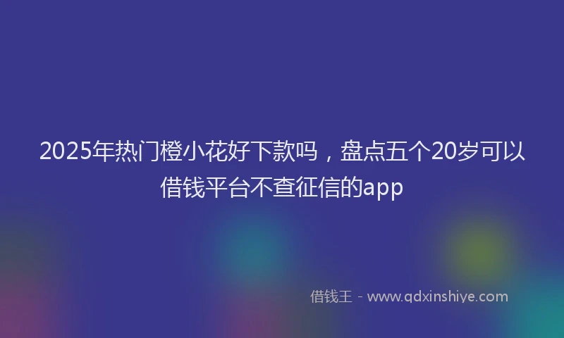 2025年热门橙小花好下款吗，盘点五个20岁可以借钱平台不查征信的app