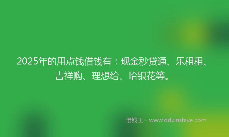 2025年的用点钱借钱有：现金秒贷通、乐租租、吉祥购、理想给、哈银花等。