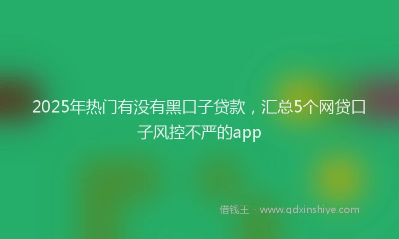2025年热门有没有黑口子贷款，汇总5个网贷口子风控不严的app