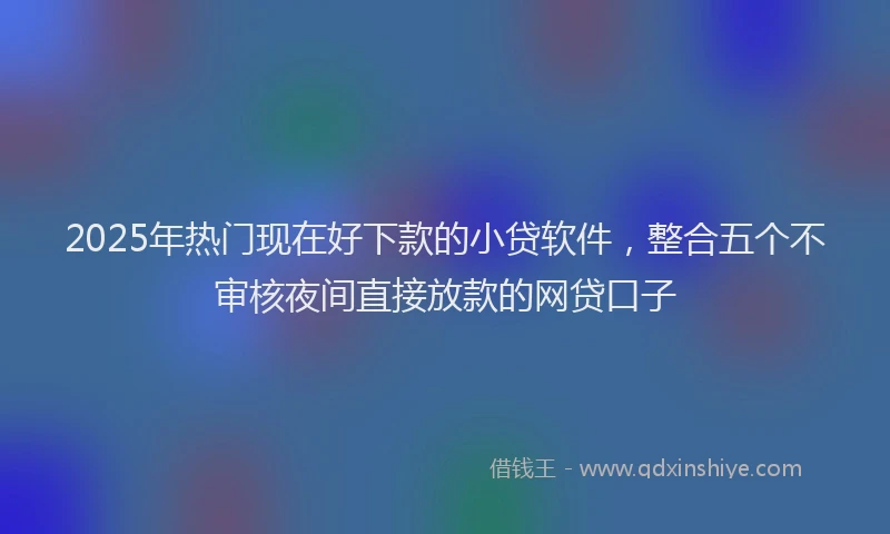 2025年热门现在好下款的小贷软件，整合五个不审核夜间直接放款的网贷口子