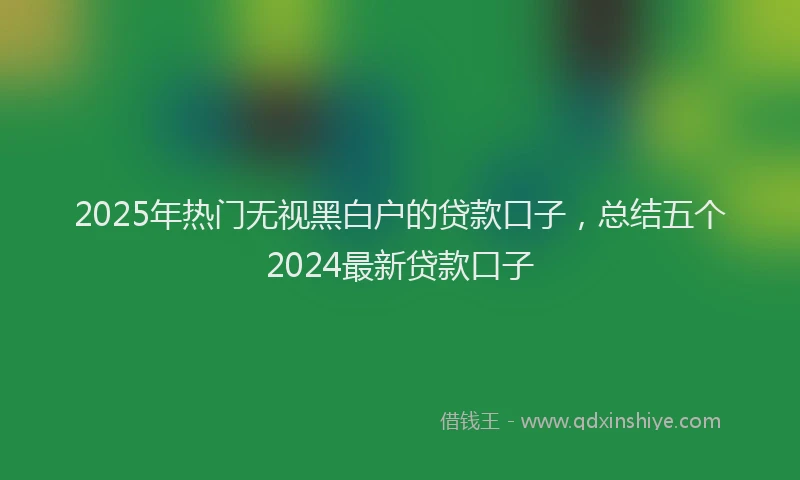 2025年热门无视黑白户的贷款口子，总结五个2024最新贷款口子