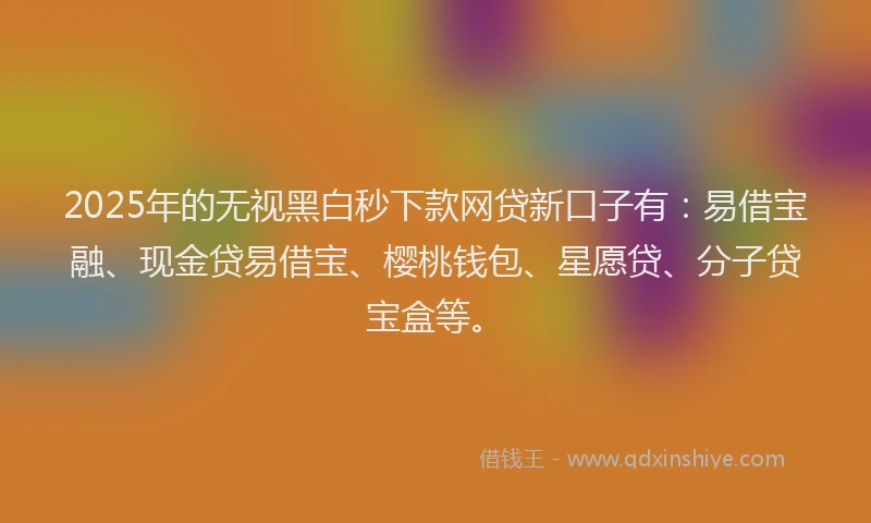 2025年的无视黑白秒下款网贷新口子有：易借宝融、现金贷易借宝、樱桃钱包、星愿贷、分子贷宝盒等。