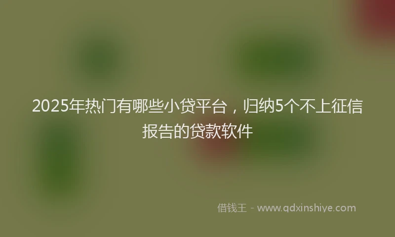 2025年热门有哪些小贷平台，归纳5个不上征信报告的贷款软件
