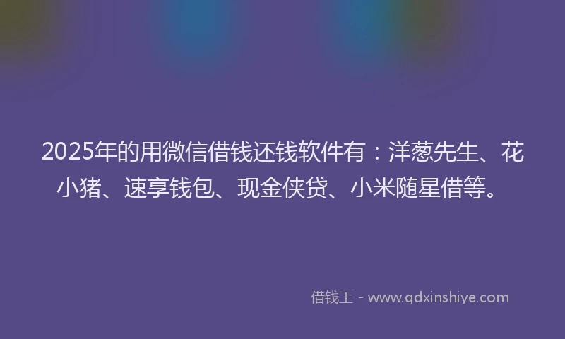 2025年的用微信借钱还钱软件有：洋葱先生、花小猪、速享钱包、现金侠贷、小米随星借等。