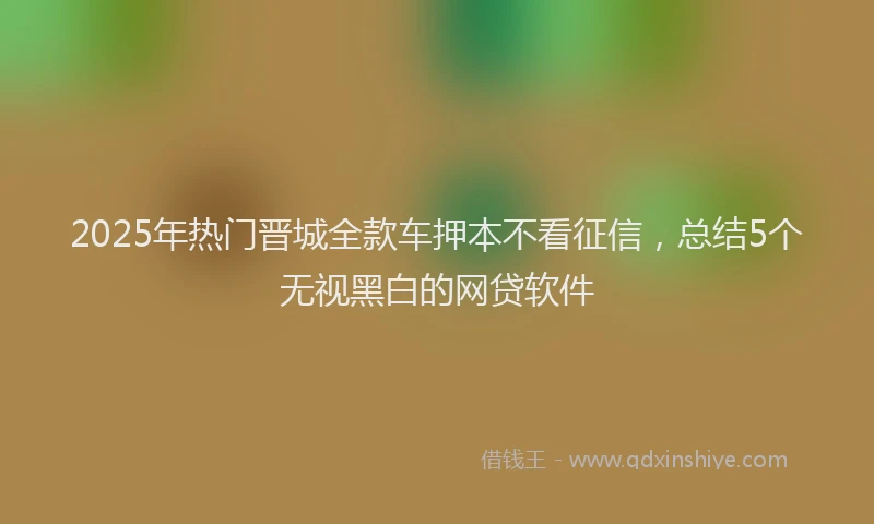 2025年热门晋城全款车押本不看征信，总结5个无视黑白的网贷软件