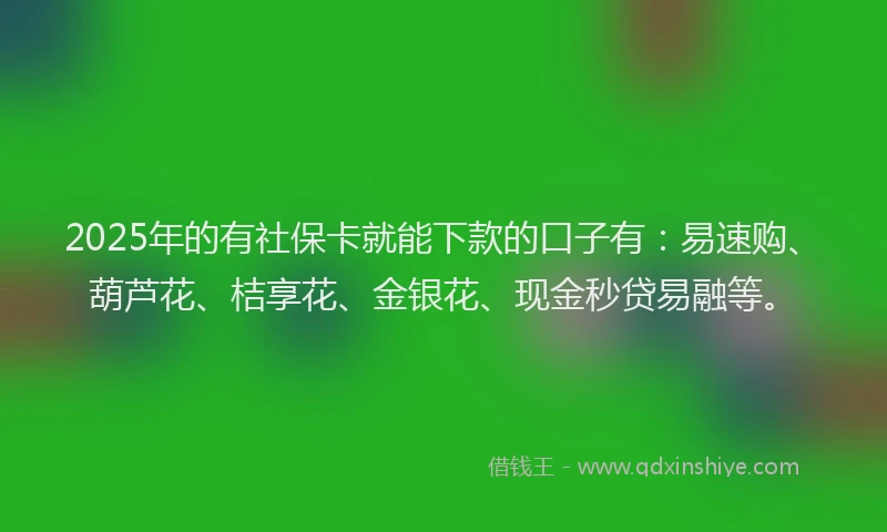 2025年的有社保卡就能下款的口子有：易速购、葫芦花、桔享花、金银花、现金秒贷易融等。