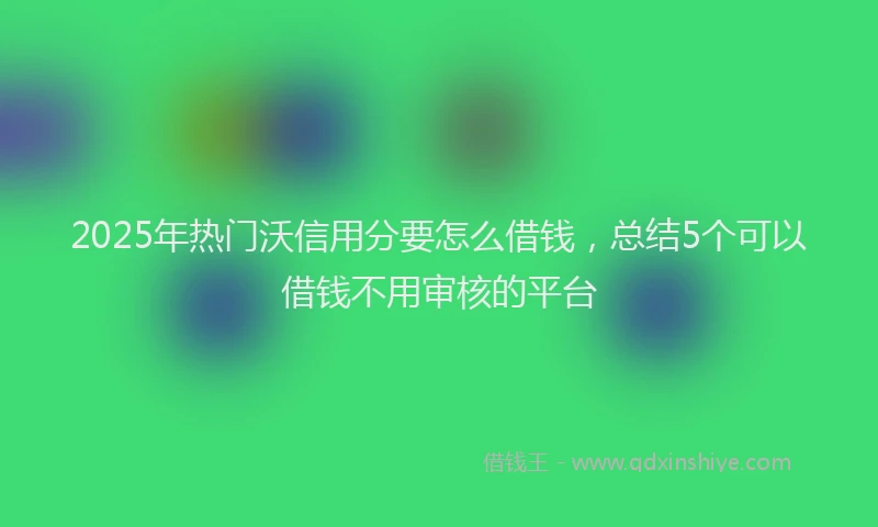 2025年热门沃信用分要怎么借钱，总结5个可以借钱不用审核的平台
