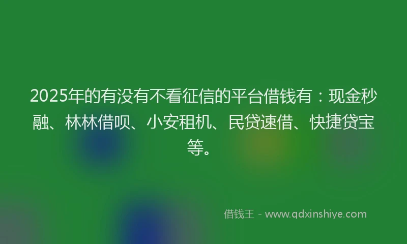 2025年的有没有不看征信的平台借钱有：现金秒融、林林借呗、小安租机、民贷速借、快捷贷宝等。