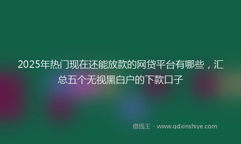 2025年热门现在还能放款的网贷平台有哪些，汇总五个无视黑白户的下款口子