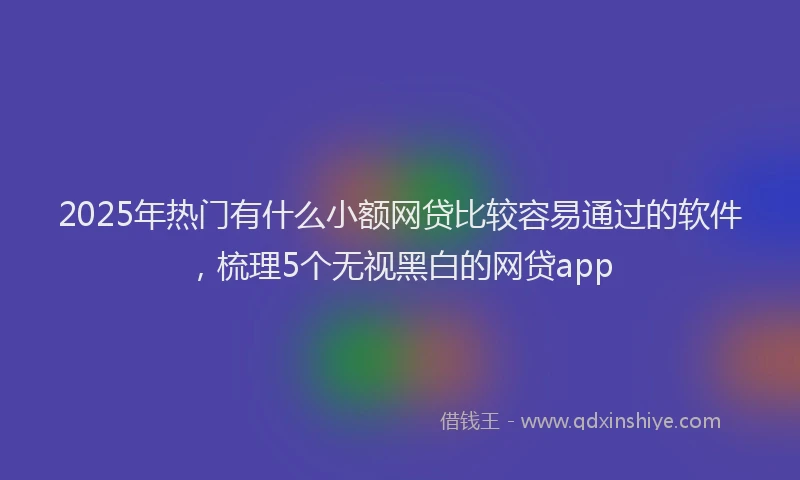 2025年热门有什么小额网贷比较容易通过的软件，梳理5个无视黑白的网贷app