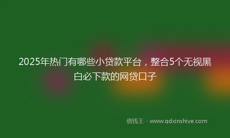 2025年热门有哪些小贷款平台，整合5个无视黑白必下款的网贷口子