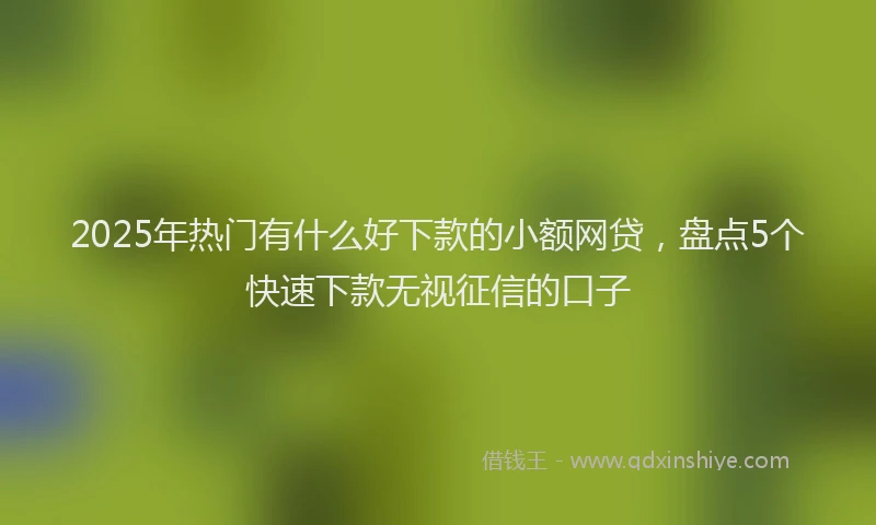 2025年热门有什么好下款的小额网贷，盘点5个快速下款无视征信的口子