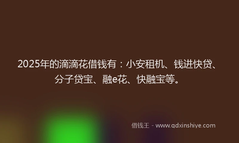 2025年的滴滴花借钱有：小安租机、钱进快贷、分子贷宝、融e花、快融宝等。