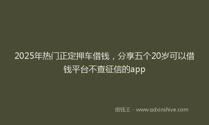 2025年热门正定押车借钱，分享五个20岁可以借钱平台不查征信的app