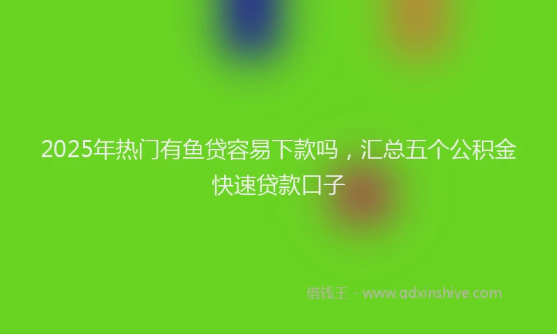 2025年热门有鱼贷容易下款吗，汇总五个公积金快速贷款口子