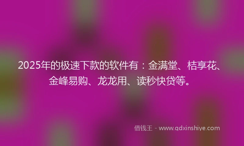 2025年的极速下款的软件有：金满堂、桔享花、金峰易购、龙龙用、读秒快贷等。