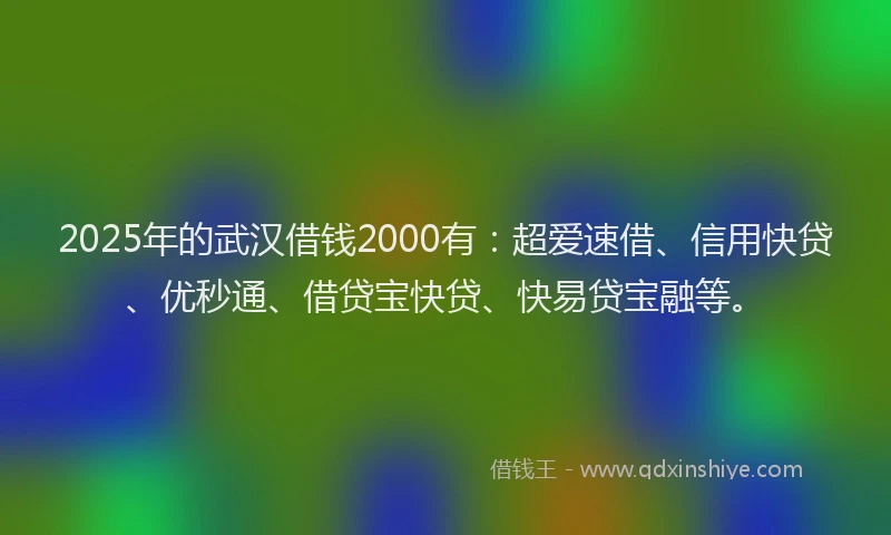 2025年的武汉借钱2000有：超爱速借、信用快贷、优秒通、借贷宝快贷、快易贷宝融等。