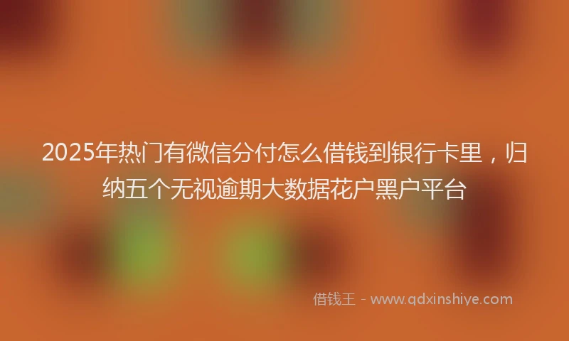 2025年热门有微信分付怎么借钱到银行卡里，归纳五个无视逾期大数据花户黑户平台