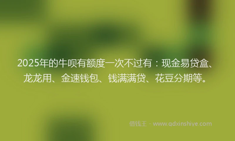 2025年的牛呗有额度一次不过有：现金易贷盒、龙龙用、金速钱包、钱满满贷、花豆分期等。