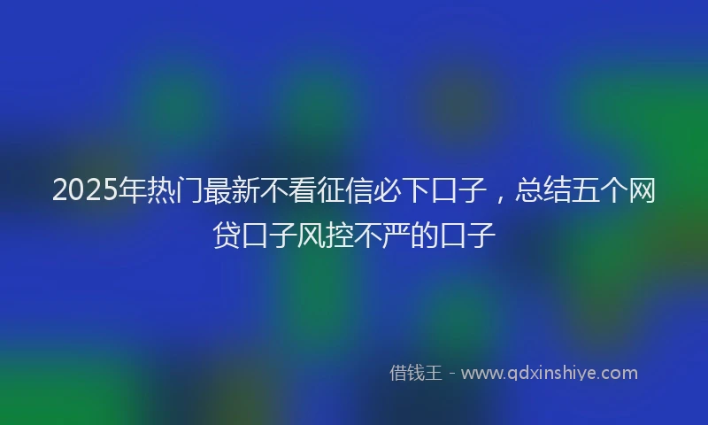 2025年热门最新不看征信必下口子，总结五个网贷口子风控不严的口子