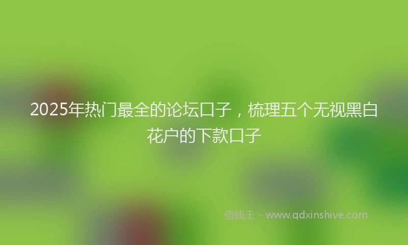 2025年热门最全的论坛口子，梳理五个无视黑白花户的下款口子