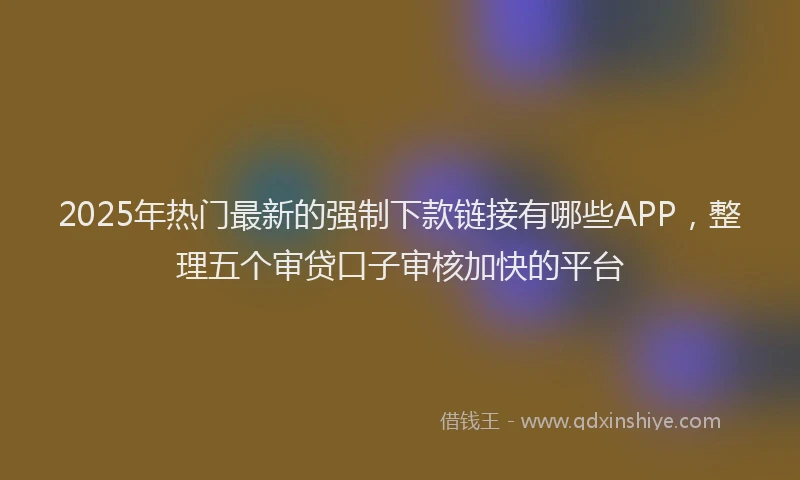 2025年热门最新的强制下款链接有哪些APP，整理五个审贷口子审核加快的平台