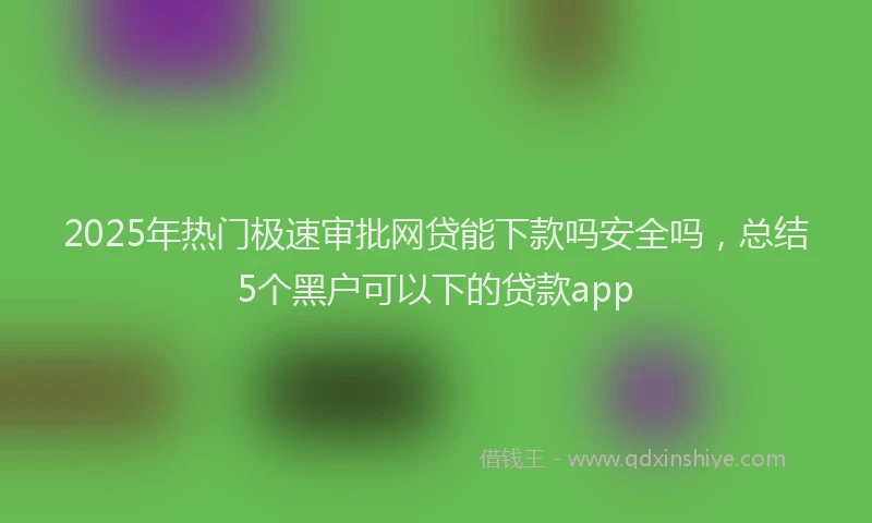 2025年热门极速审批网贷能下款吗安全吗，总结5个黑户可以下的贷款app