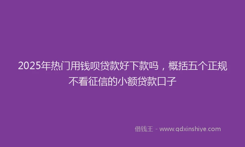 2025年热门用钱呗贷款好下款吗，概括五个正规不看征信的小额贷款口子