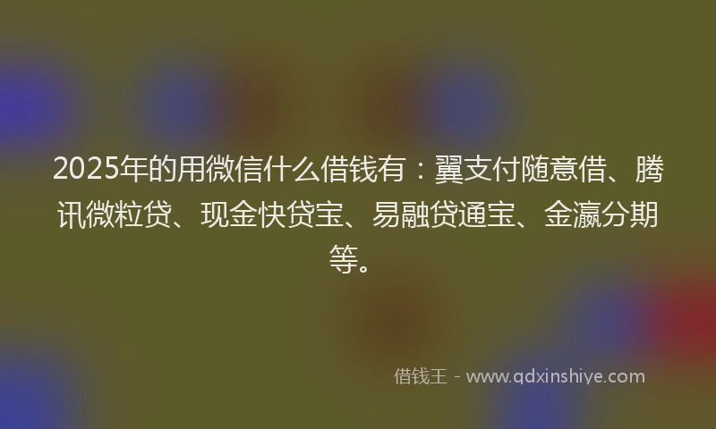 2025年的用微信什么借钱有：翼支付随意借、腾讯微粒贷、现金快贷宝、易融贷通宝、金瀛分期等。