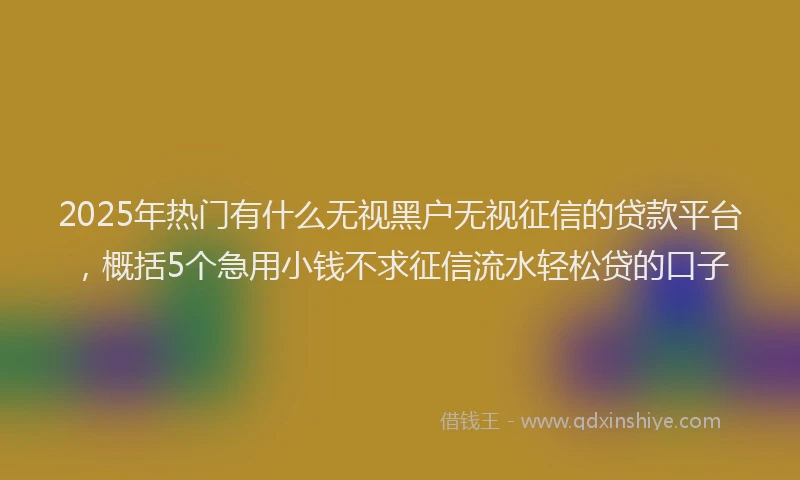 2025年热门有什么无视黑户无视征信的贷款平台，概括5个急用小钱不求征信流水轻松贷的口子