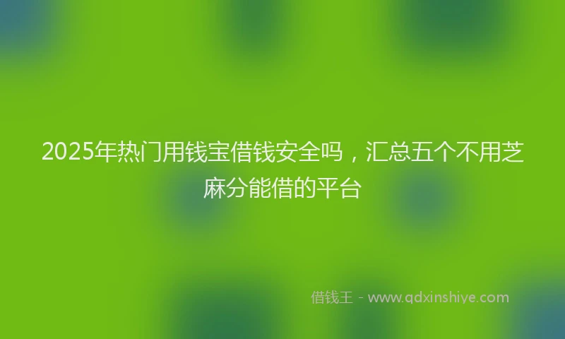 2025年热门用钱宝借钱安全吗，汇总五个不用芝麻分能借的平台