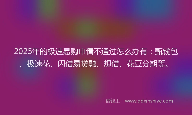 2025年的极速易购申请不通过怎么办有：甄钱包、极速花、闪借易贷融、想借、花豆分期等。