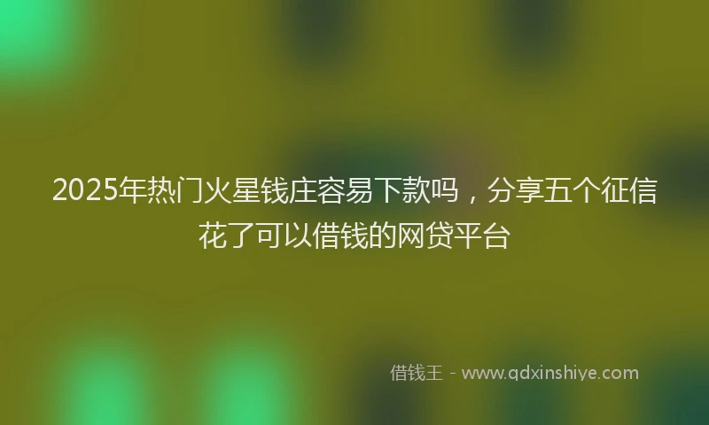 2025年热门火星钱庄容易下款吗，分享五个征信花了可以借钱的网贷平台