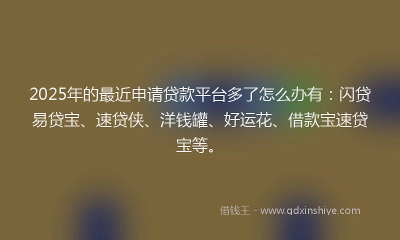 2025年的最近申请贷款平台多了怎么办有：闪贷易贷宝、速贷侠、洋钱罐、好运花、借款宝速贷宝等。